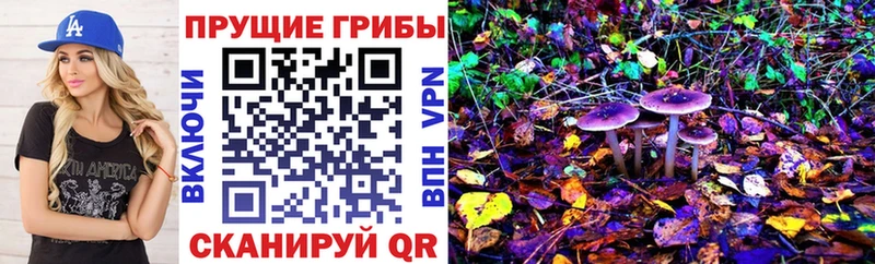 Псилоцибиновые грибы Cubensis  Чекалин 